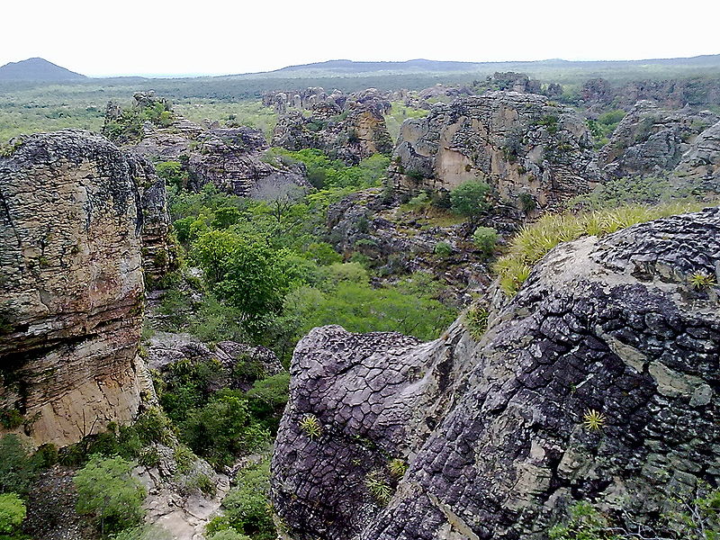 Arquivo:100120131780.jpg