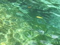 IMG 4081.JPG