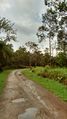 IMG 20151014 082029316 HDR.jpg