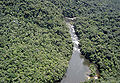 Serra do mar sta virginia 3.jpg
