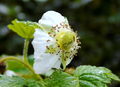 DSC00048.JPG