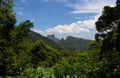 DSC0011.jpg