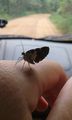 20151102 140340.jpg