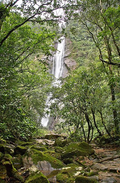 Arquivo:Salto-morato-2 credito Adrian Moss.jpg