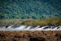 Saltos yucumã-68.jpg