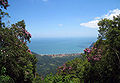 Serra do mar sao sebastiao 3.jpg