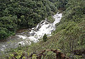 Serra do mar sta virginia 7.jpg