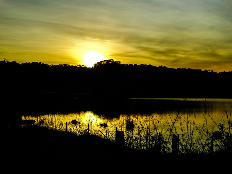Arquivo:DSC06439 edited.jpg
