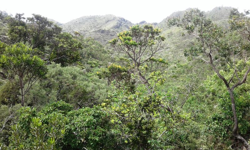 Arquivo:20185257095627.jpg