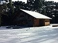 Neve no Parque das Araucárias em Guarapuava Paraná Foto Aquecir Cardoso.jpg