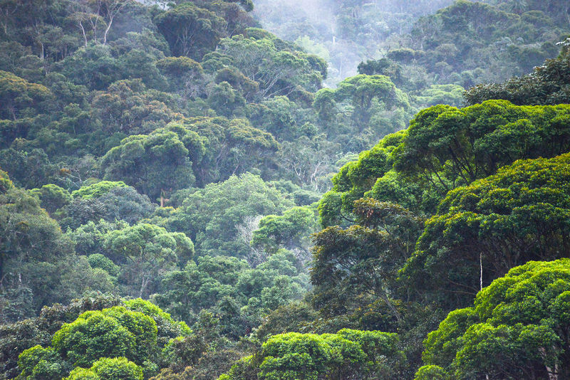 Arquivo:Agua aérea.jpg