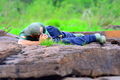 DSC 0159.JPG