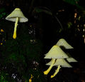 DSC0856.jpg