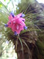 DSCF2948.JPG