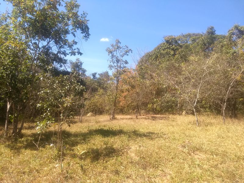 Arquivo:2018721253338.jpg