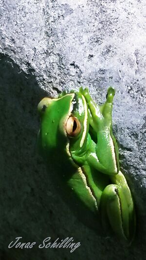 20161205 125101.jpg