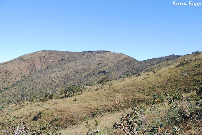 Arquivo:DSC 0057.jpg