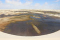 Lagoa amarelada.JPG