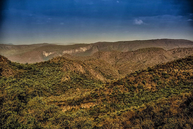 Arquivo:Veadeiros 1.jpg