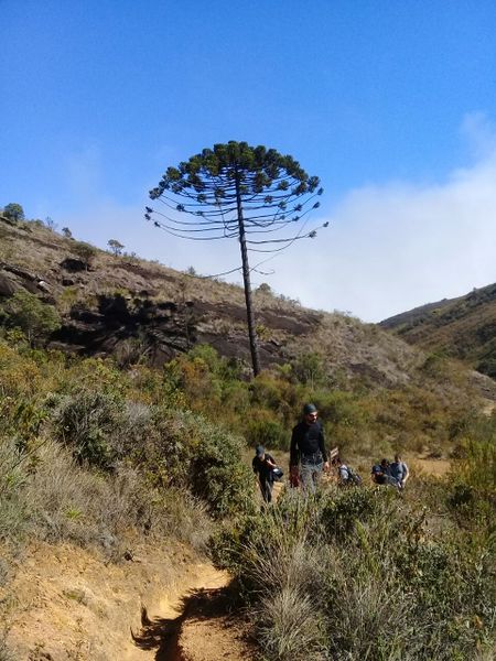 Arquivo:201710103694061.jpg