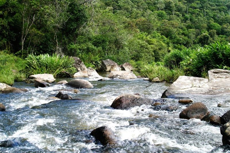 Arquivo:Rio 8 B.jpg