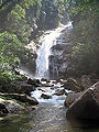 Serra do mar sao sebastiao 7.jpg