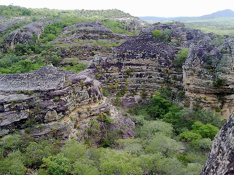 Arquivo:100120131773.jpg