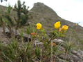 DSC01478.JPG