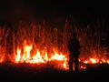 DSCN0569.JPG