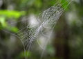 DSC0035.jpg