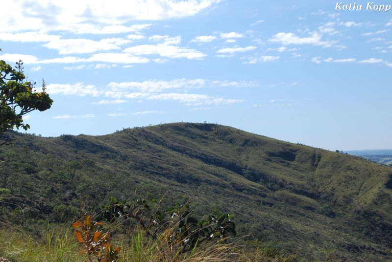 Arquivo:DSC 0076.jpg