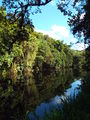 DSCF2404.JPG