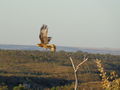 DSC02548.JPG