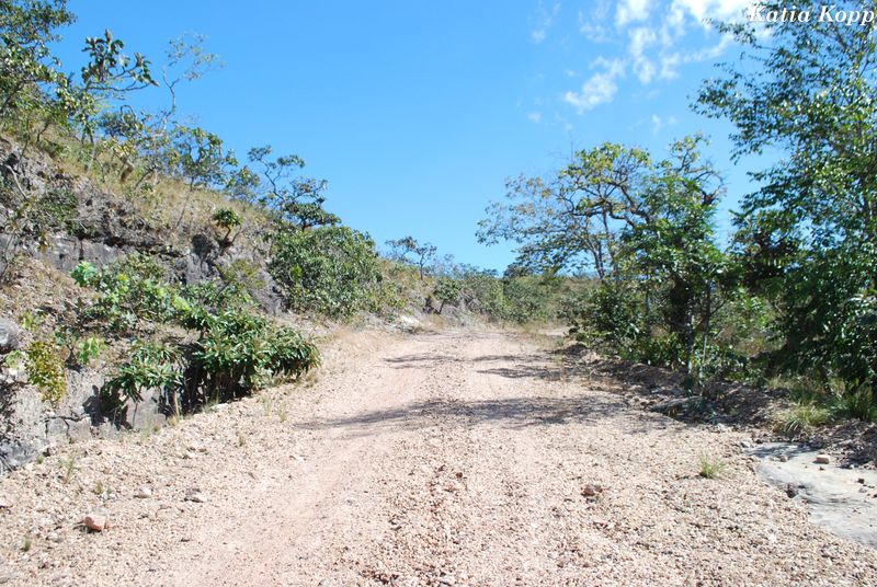 Arquivo:DSC 0094.jpg