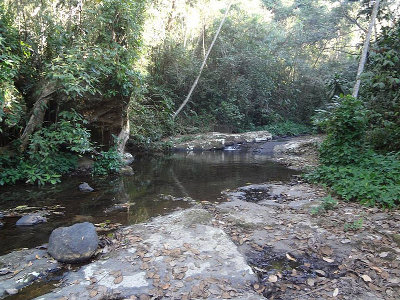 Arquivo:Parque-natural-municipal-nova-iguacu-01.jpg
