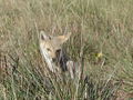 DSC02348.JPG