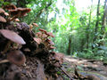 IMG 4911.jpg