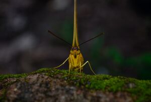 DSC0372.jpg