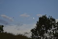 DSC3558.JPG