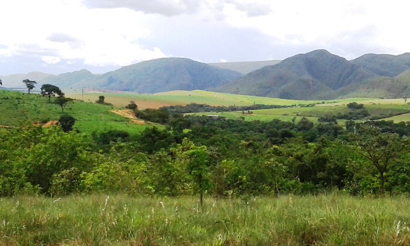 Arquivo:20185256897858.jpg
