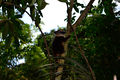 DSC0246.jpg