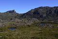 DSC0129.jpg