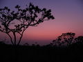 DSCN2791.JPG