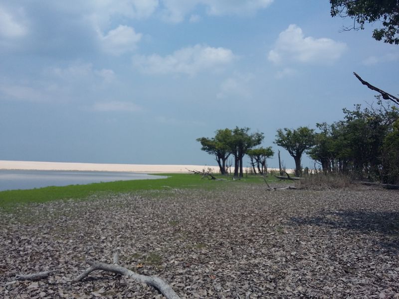 Arquivo:20151108 115918.jpg