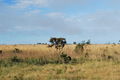 DSC 0032.JPG