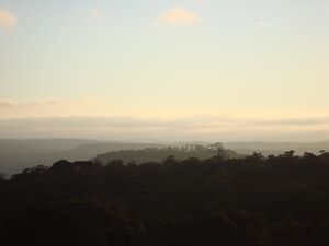 Foto panorâmica do PARNA das Araucárias.jpg