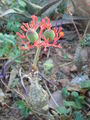 DSC03790.JPG