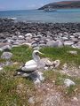 DSC 1046.JPG