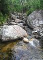 P1010010.JPG