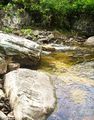 P1010017.JPG